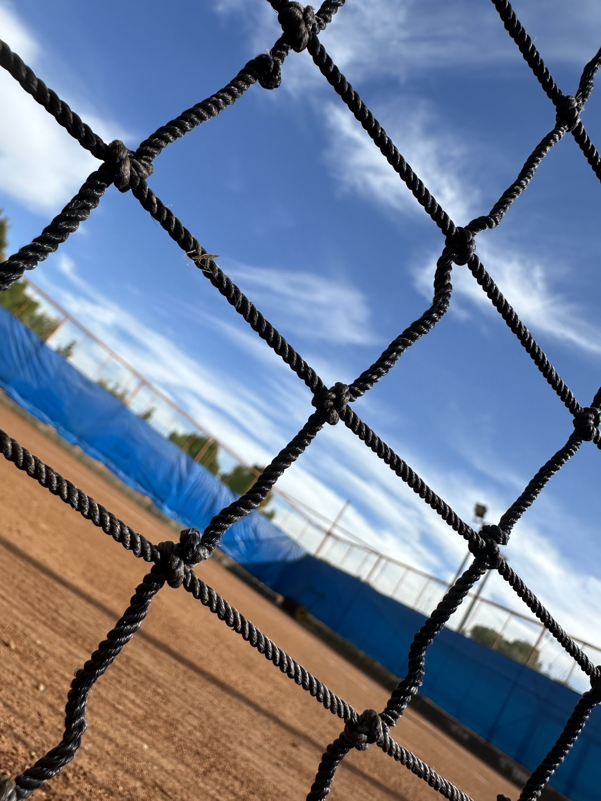 فرشید خواجه محمود